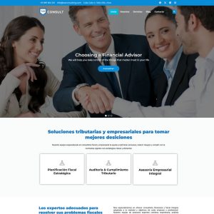 Tax Consulting